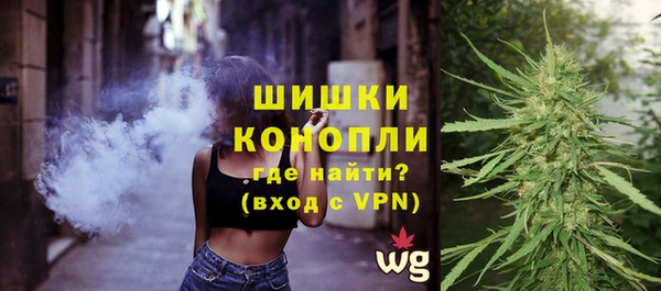 шишки Краснотурьинск